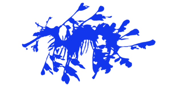 Second Image 2